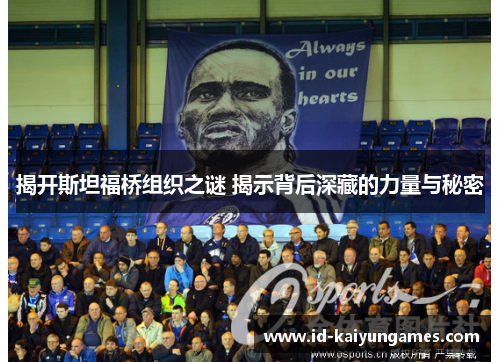 揭开斯坦福桥组织之谜 揭示背后深藏的力量与秘密 揭开斯坦福桥组织之谜 揭示背后深藏的力量与秘密