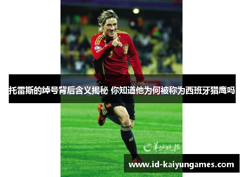 托雷斯的绰号背后含义揭秘 你知道他为何被称为西班牙猎鹰吗 托雷斯的绰号背后含义揭秘 你知道他为何被称为西班牙猎鹰吗